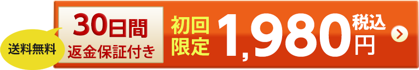 初回限定！1980円送料無料