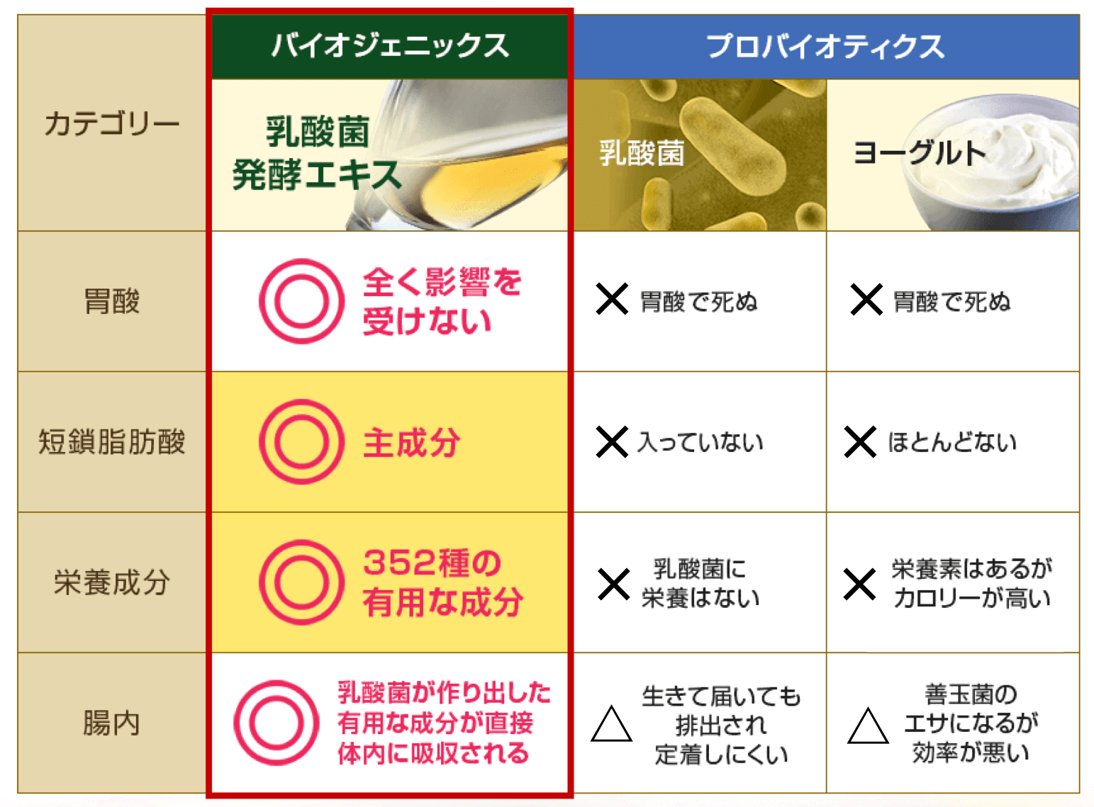 乳酸菌発酵エキスの働き